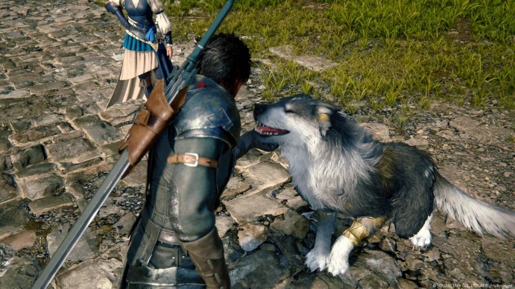 a video game screen capture of a man in armor with a wolf